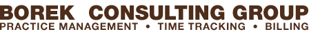 Borek Consulting logo